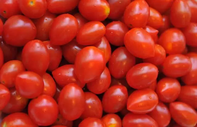 圣女果的功效与作用-会东网