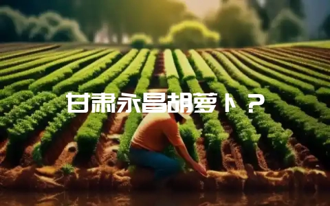 甘肃永昌胡萝卜?-会东网