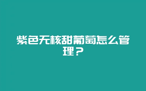 紫色无核甜葡萄怎么管理？-会东网