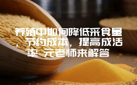 养殖中如何降低采食量,节约成本,提高成活率 元老师来解答-会东网