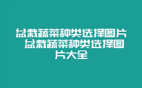 盆栽蔬菜种类选择图片 盆栽蔬菜种类选择图片大全-会东网