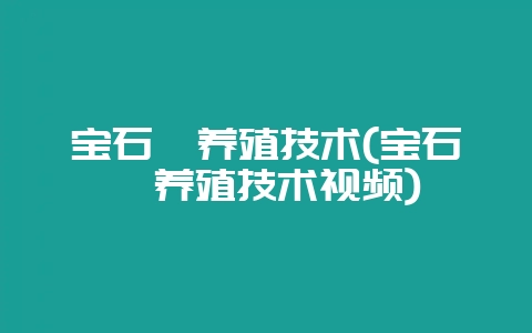 宝石鲈养殖技术(宝石鲈养殖技术视频)-会东网