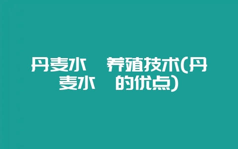 丹麦水貂养殖技术(丹麦水貂的优点)-会东网