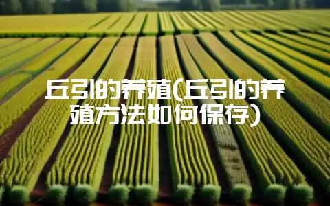 丘引的养殖(丘引的养殖方法如何保存)-会东网