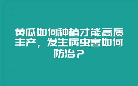 黄瓜如何种植才能高质丰产，发生病虫害如何防治？-会东网