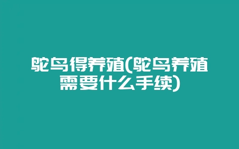 鸵鸟得养殖(鸵鸟养殖需要什么手续)-会东网