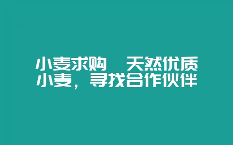 小麦求购 天然优质小麦,寻找合作伙伴-会东网
