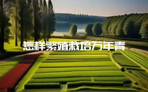 怎样繁殖栽培万年青-会东网