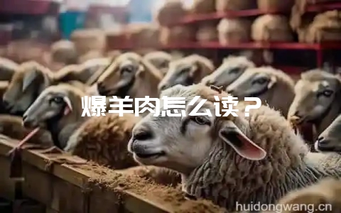 爆羊肉怎么读?插图 爆羊肉怎么读?插图
