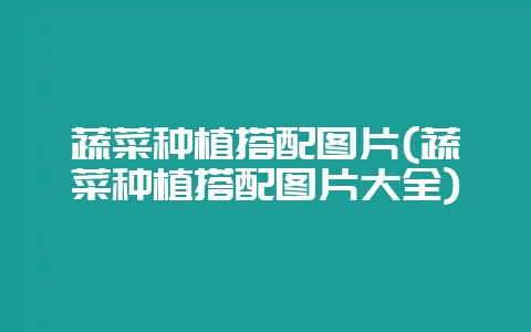 蔬菜种植搭配图片(蔬菜种植搭配图片大全)-会东网