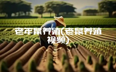 老年鼠养殖(老鼠养殖视频)-会东网