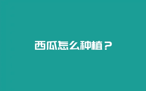 西瓜怎么种植？-会东网