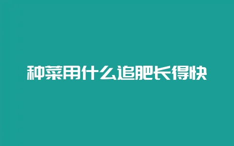 种菜用什么追肥长得快-会东网