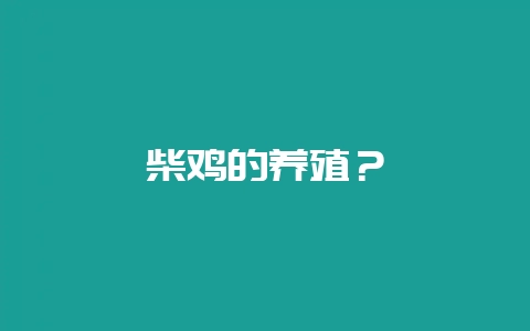柴鸡的养殖？-会东网