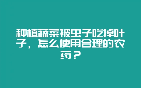 种植蔬菜被虫子吃掉叶子，怎么使用合理的农药？-会东网