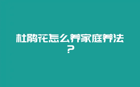 杜鹃花怎么养家庭养法？-会东网