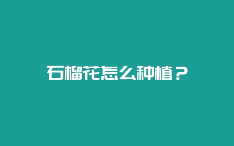 石榴花怎么种植？-会东网