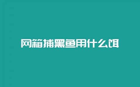 网箱捕黑鱼用什么饵-会东网