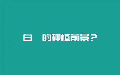 白芨的种植前景？-会东网