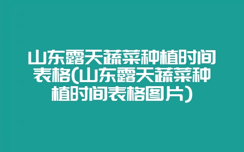 山东露天蔬菜种植时间表格(山东露天蔬菜种植时间表格图片)-会东网