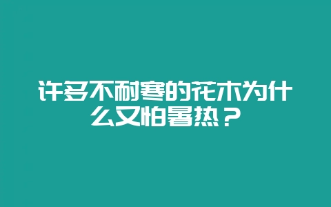许多不耐寒的花木为什么又怕暑热?-会东网