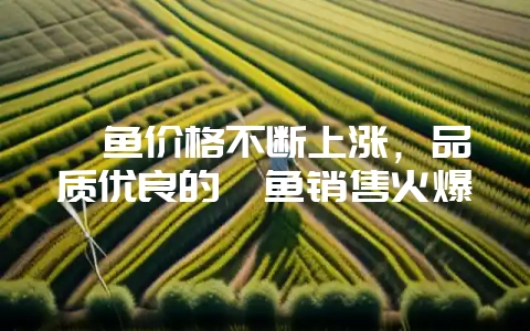 鳝鱼价格不断上涨，品质优良的鳝鱼销售火爆-会东网