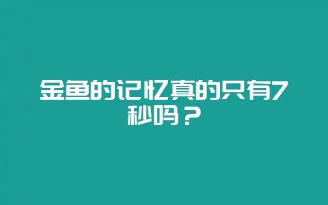 金鱼的记忆真的只有7秒吗？-会东网