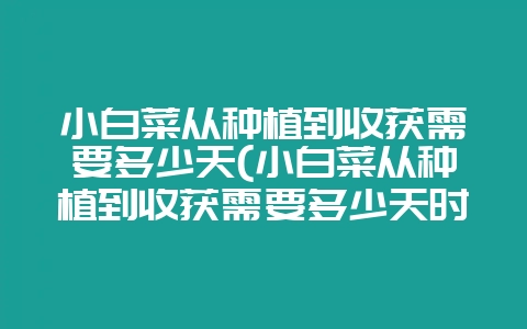 小白菜从种植到收获需要多少天(小白菜从种植到收获需要多少天时间)-会东网