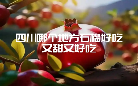 四川哪个地方石榴好吃又甜又好吃插图 四川哪个地方石榴好吃又甜又好吃插图
