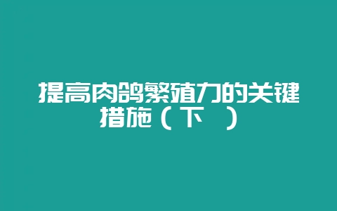 提高肉鸽繁殖力的关键措施(下 )-会东网