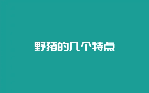 野猪的几个特点-会东网
