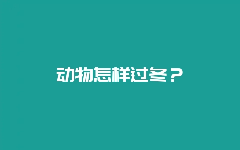 动物怎样过冬？-会东网