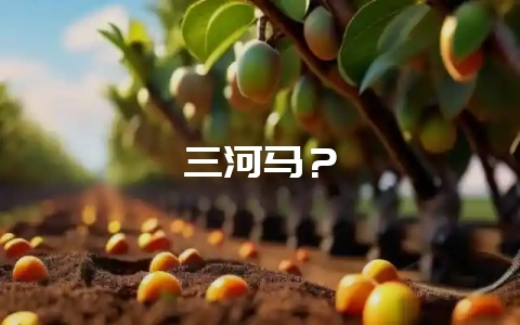 三河马？-会东网