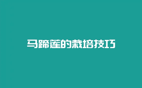 马蹄莲的栽培技巧-会东网