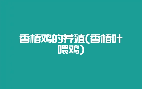香椿鸡的养殖(香椿叶喂鸡)-会东网