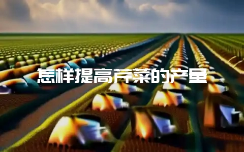 怎样提高芹菜的产量-会东网