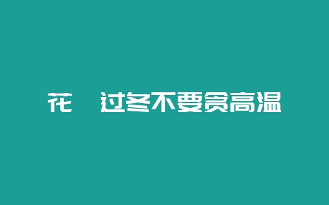 花卉过冬不要贪高温-会东网