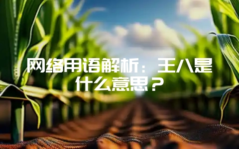 网络用语解析：王八是什么意思？-会东网