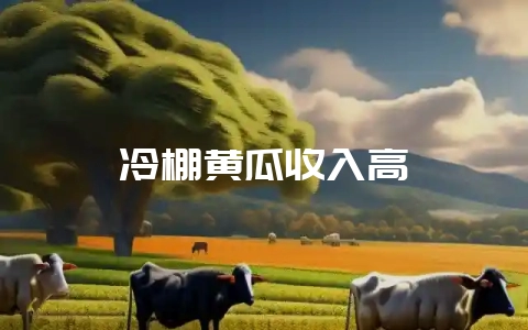 冷棚黄瓜收入高-会东网