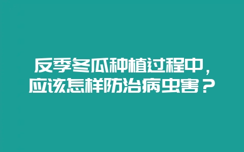 反季冬瓜种植过程中，应该怎样防治病虫害？-会东网