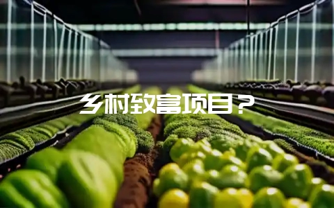 乡村致富项目？-会东网
