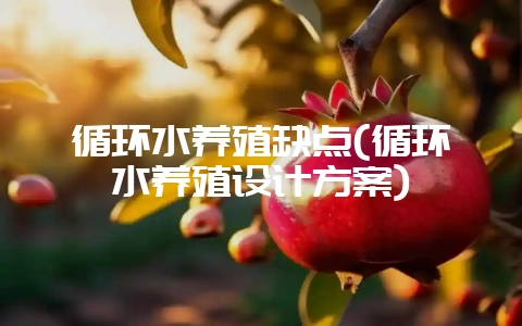 循环水养殖缺点(循环水养殖设计方案)-会东网