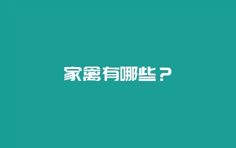 家禽有哪些？-会东网