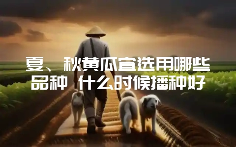 夏、秋黄瓜宜选用哪些品种 什么时候播种好-会东网