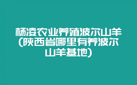 杨凌农业养殖波尔山羊(陕西省哪里有养波尔山羊基地)-会东网