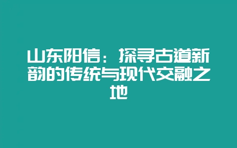 山东阳信：探寻古道新韵的传统与现代交融之地-会东网