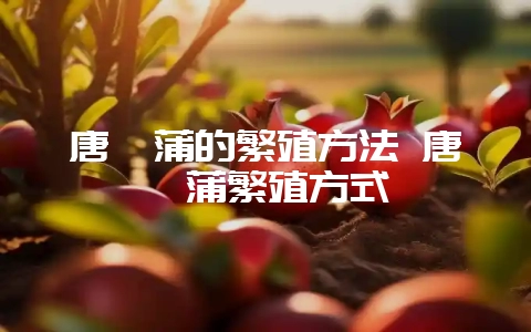 唐菖蒲的繁殖方法 唐菖蒲繁殖方式-会东网