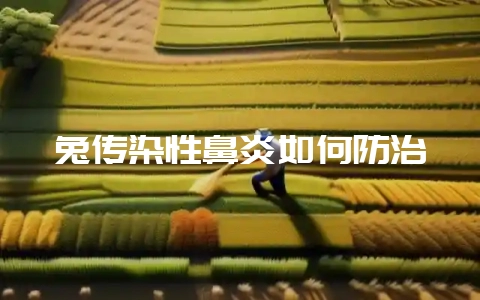 兔传染性鼻炎如何防治-会东网
