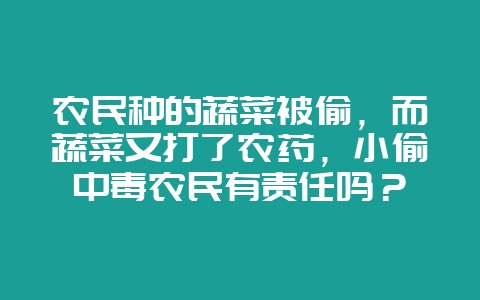 农民种的蔬菜被偷，而蔬菜又打了农药，小偷中毒农民有责任吗？-会东网
