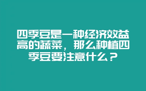 四季豆是一种经济效益高的蔬菜,那么种植四季豆要注意什么?-会东网